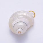 Load image into Gallery viewer, SUMMER 18K Gold Filled 48mm Freshwater Pearl Nautical Conch Sea Shell Charm
