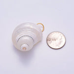 Load image into Gallery viewer, SUMMER 18K Gold Filled 48mm Freshwater Pearl Nautical Conch Sea Shell Charm
